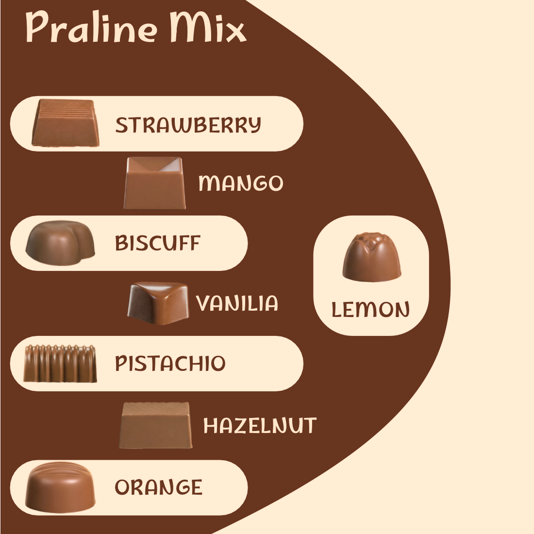Praline Mix – 24 pcs